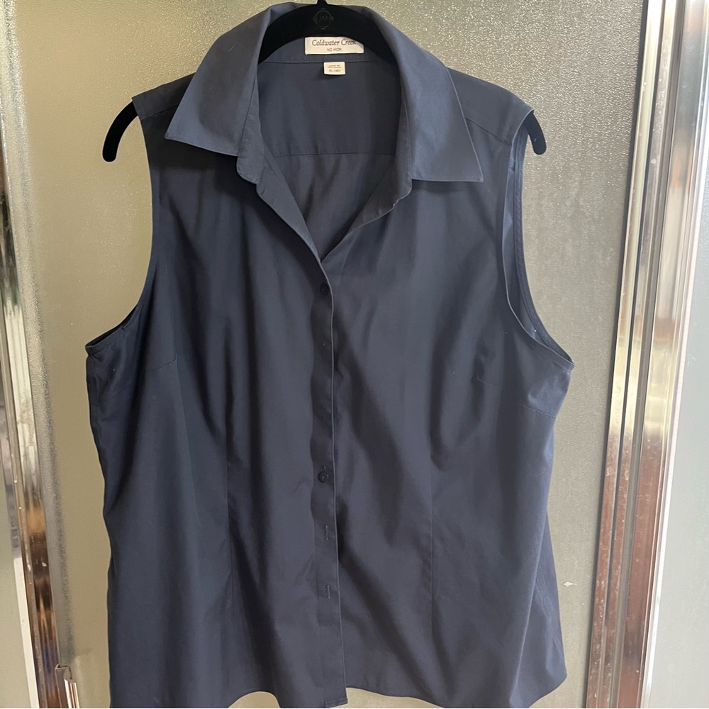 Coldwater Creek no iron sleeveless shirt